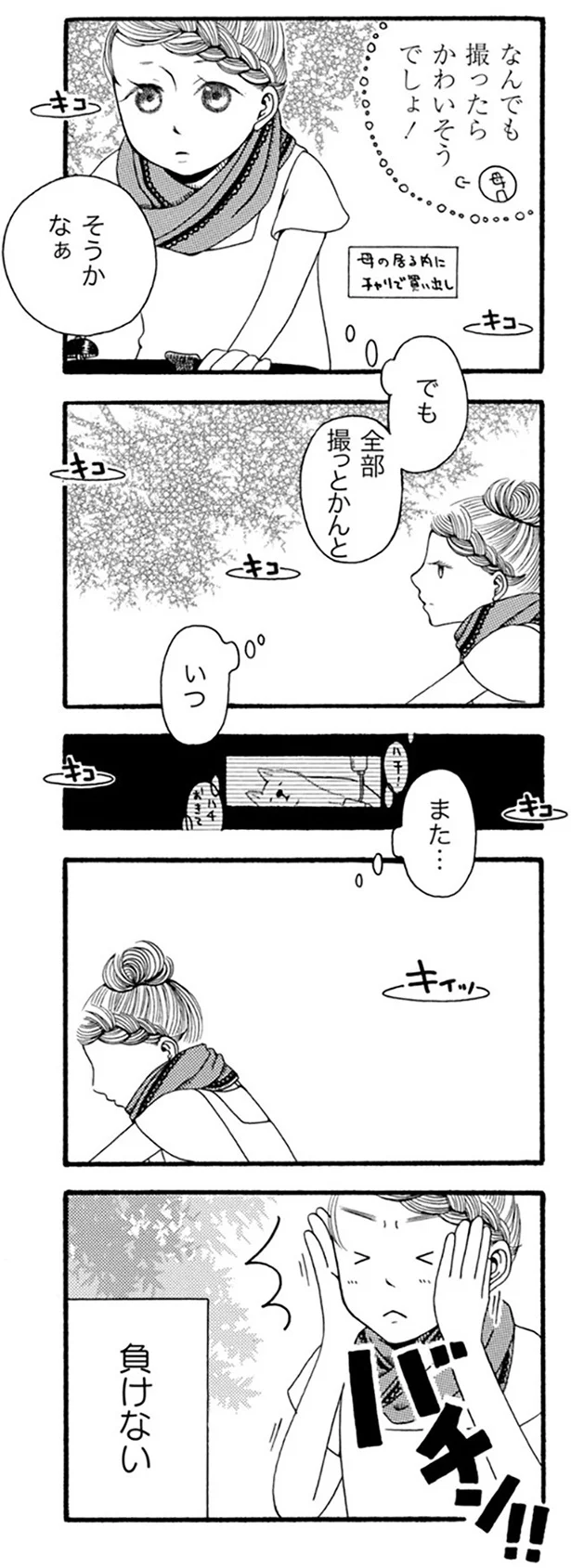 『96歳の柴犬ハチさんは、今日もお散歩しています。』 45.webp