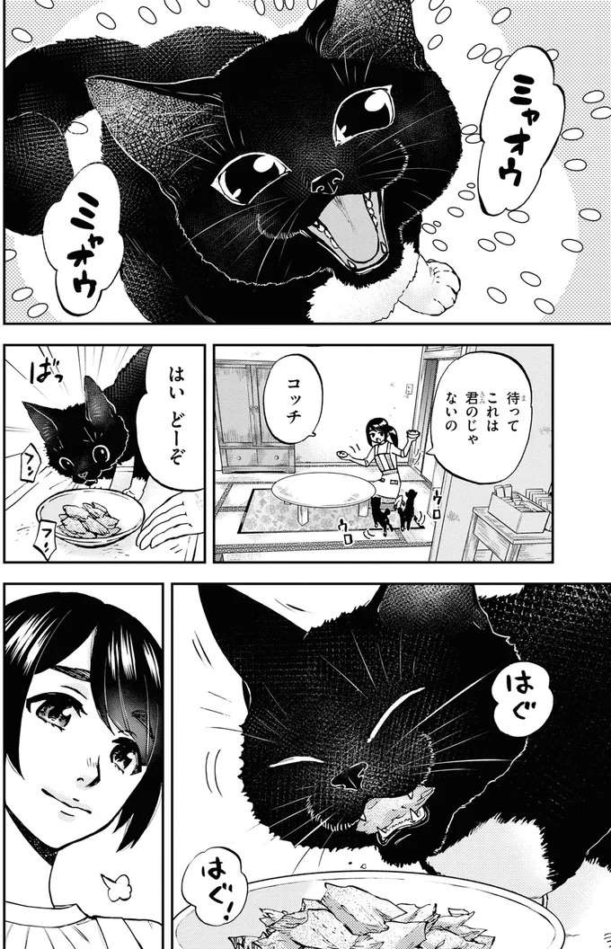 おいしいおつまみで子猫と一緒に楽しい晩酌。そうだ！ この子の名前は...／細村さんと猫のおつまみ1 hosomura7_1.jpeg