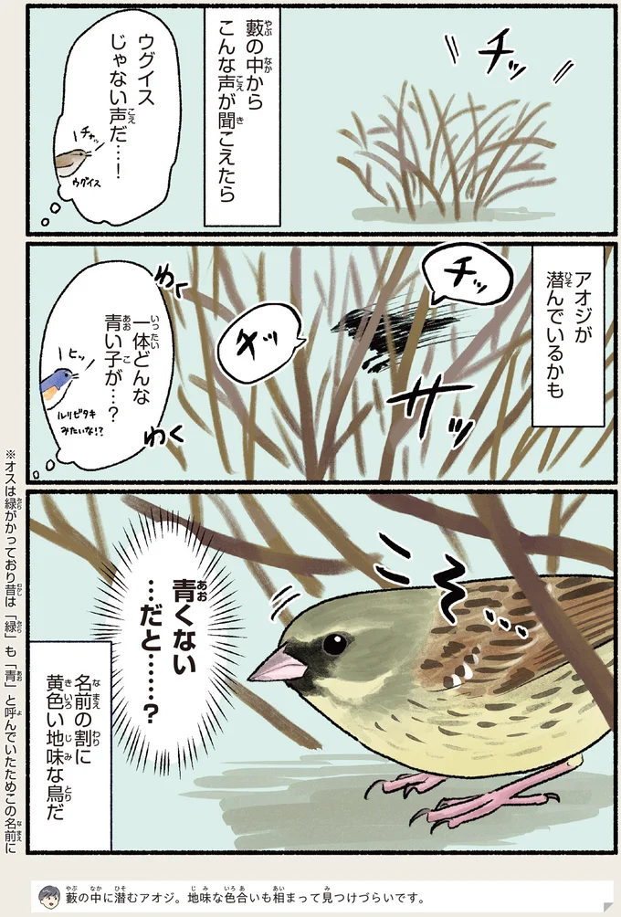 『意外と知らない鳥の生活 1〜2』 531.webp