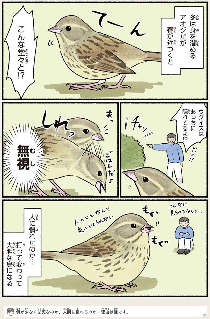 『意外と知らない鳥の生活 1〜2』 532.webp