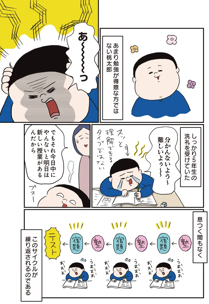 『中学受験に挑戦したら、想像以上に壮絶でした』 43.webp