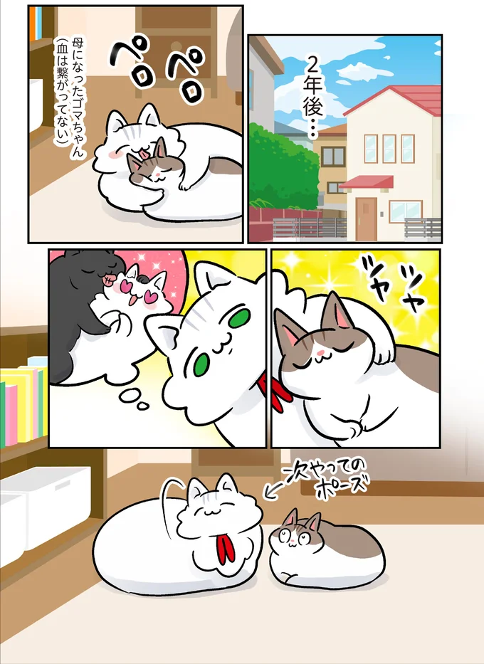 『マジレス幼児とモンペ猫 口達者な娘と過保護すぎる猫たちとの日常』 43.webp