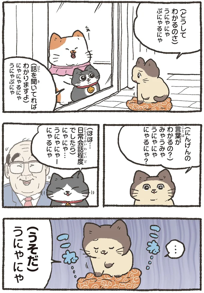 『ねこに転生したおじさん 6』 05-03.webp