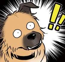 ペット に関する 暮らし 記事一覧 毎日が発見ネット