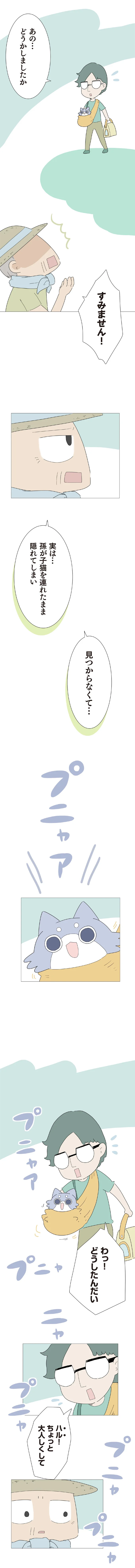 「わしも孫も楽しかったんです」子猫との別れを受け入れた孫が健気で／ハルとゲン 54-01.png