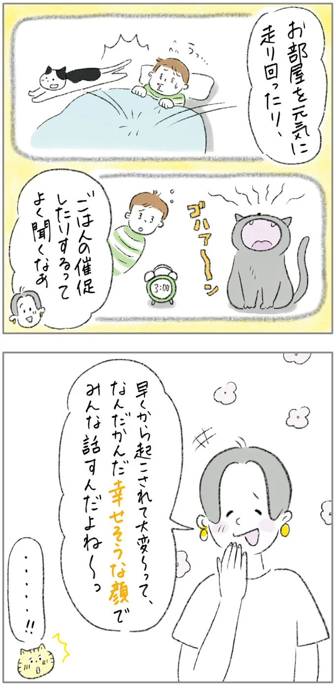 『ターとアグのしあわせ日和 元ノラ猫と元保護犬、ふたりは親友』 07-05.png