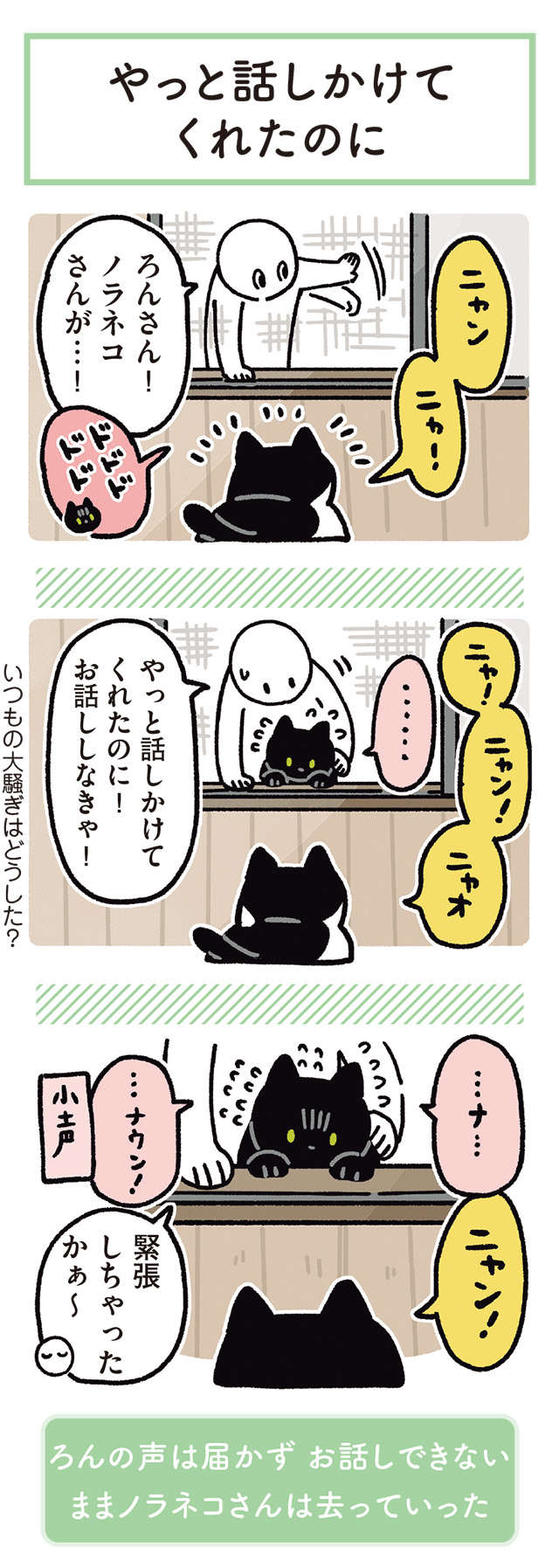 家に来るノラネコと友だちになりたい愛猫。緊張しちゃう姿が愛らしい／黒猫ろんと暮らしたら 13.jpg