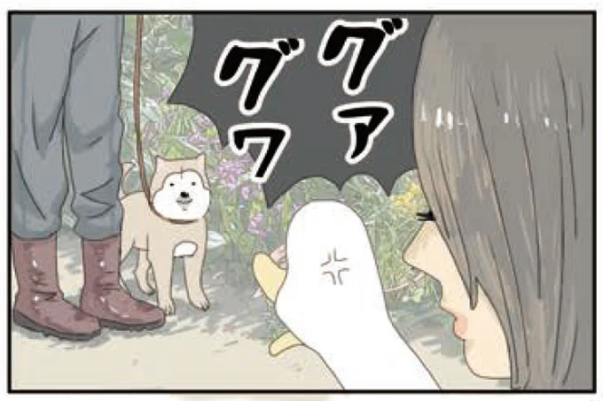 抱っこされてよその犬に「グァグァ」。強気なアヒルを地面に下ろしたら／エースくんとヨバンさん