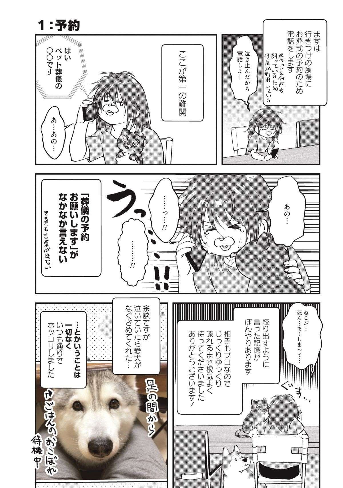 起きたら愛猫が冷たくなっていた...。葬儀の予約電話で言葉に詰まってしまい...／猫とハスキーとハマジ2 ２.jpg