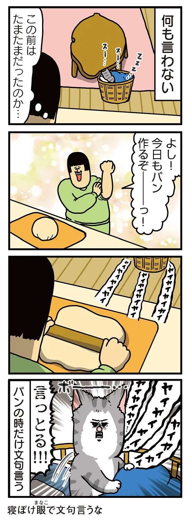 「ヤイヤイヤイ」と猫。なんでこの時だけ文句があるのか...？／まめきちまめこニートの日常 3 mameko27_3.jpeg