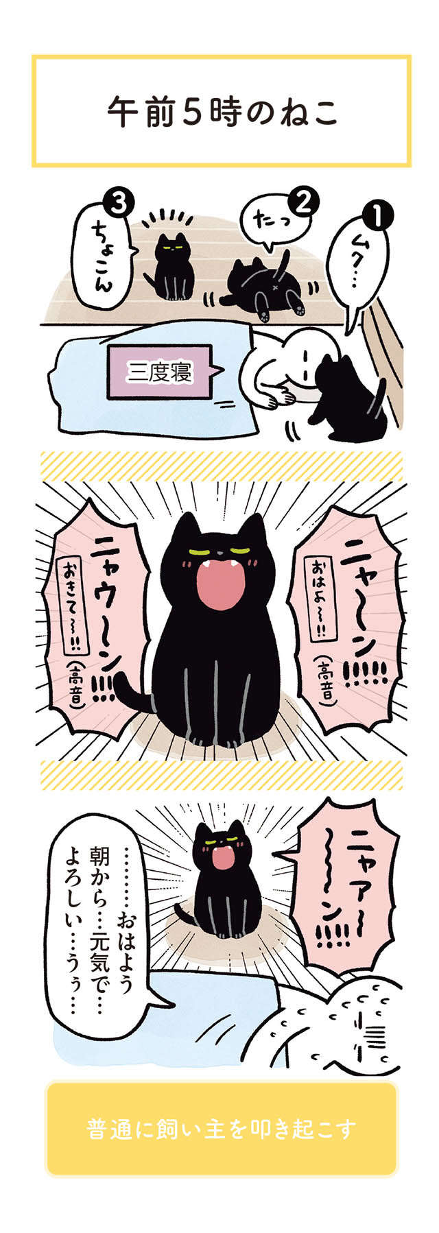 うちの猫は寝ても起きてもにぎやか。そんな姿もかわいくて...！／黒猫ろんと暮らしたら3 13.jpg