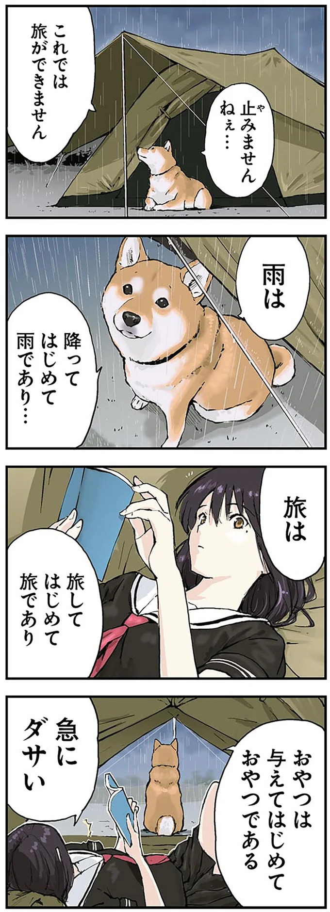 柴犬のおねだり作戦。「雨は降ってはじめて雨」...なんの話？ ／世界の終わりに柴犬と 2.png