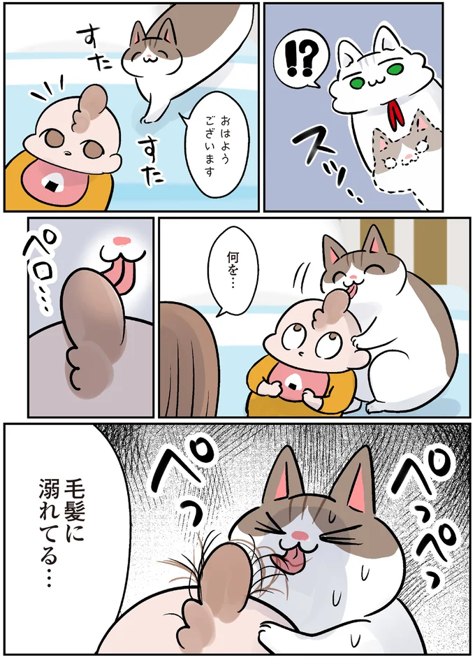 『マジレス幼児とモンペ猫 口達者な娘と過保護すぎる猫たちとの日常』 45.webp