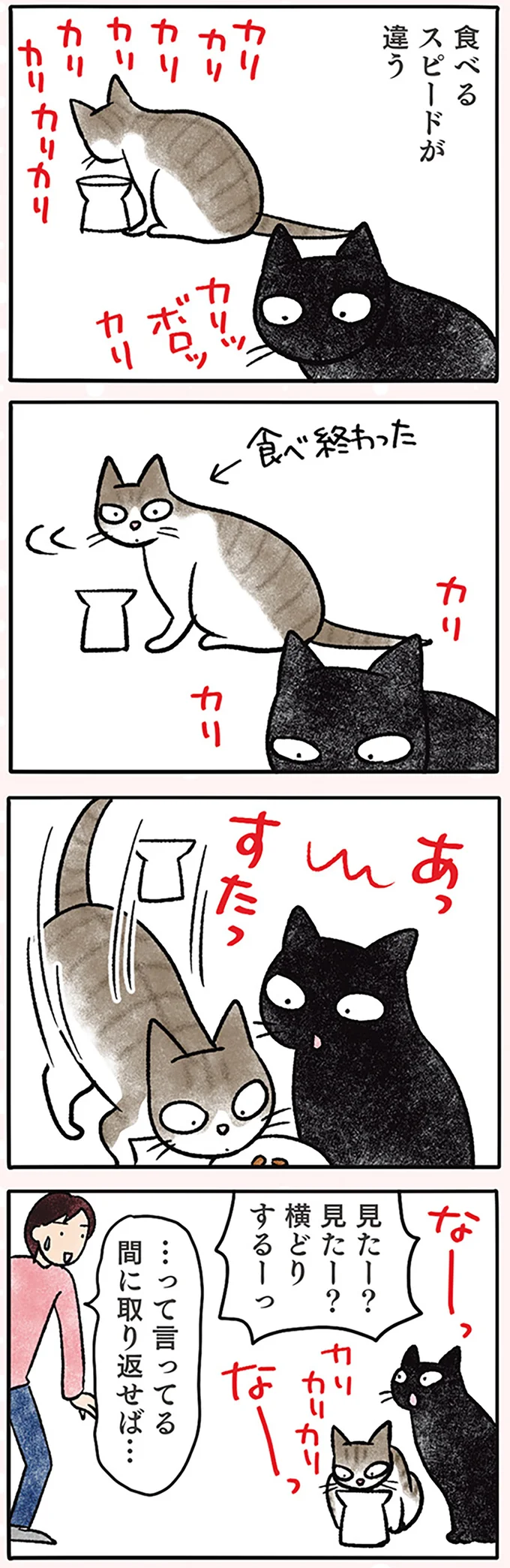 「ご飯を横取りされた！」と訴える猫。いや、アピールの前に...／黒猫ナノとキジシロ猫きなこ 03-01.png