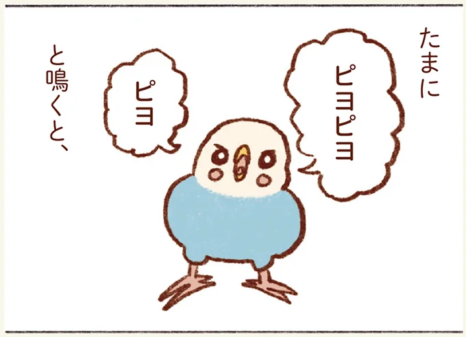 『プジェ日記！ 幸せを運ぶインコのみっちゃん』