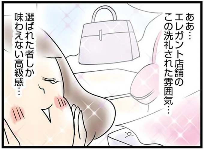 選ばれた者の高級感...主婦が6万円のスカーフを買うことにした「とどめの一言」／150万のバッグが欲しい主婦の 夫に内緒の買い物日記