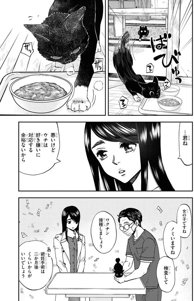 子猫とかりそめ生活スタート。つい「お父さんの1人」を思い出し...／細村さんと猫のおつまみ1 hosomura5_2.jpeg