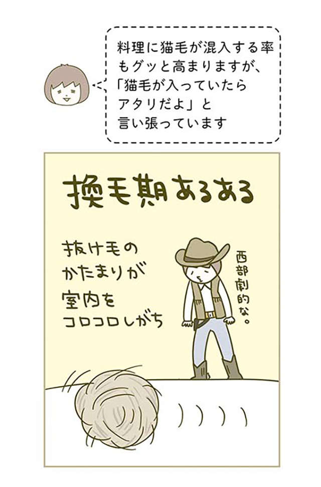 「おいでなすったな」猫の抜け毛の時期。朝、飼い主の顔の状態は／うちの猫がまた変なことしてる。2 12.jpg