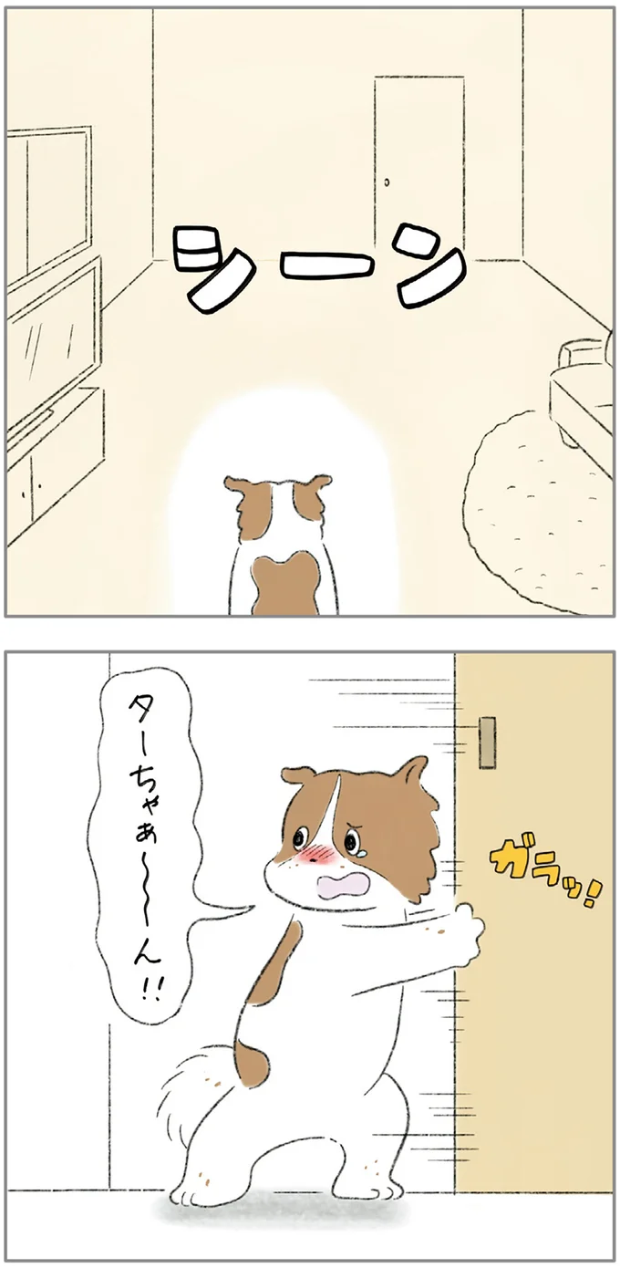 『ターとアグのしあわせ日和 元ノラ猫と元保護犬、ふたりは親友』 05-10.png