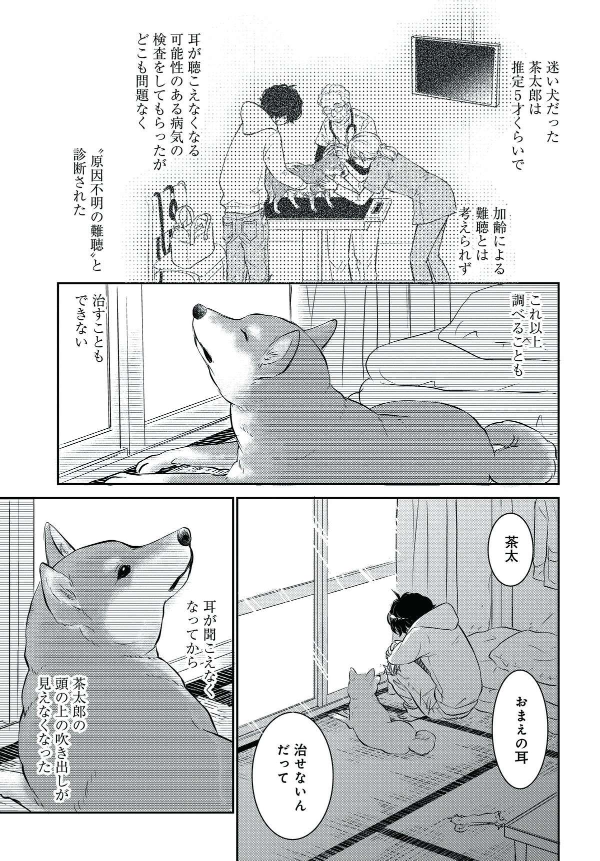 愛犬が原因不明の難聴に！ 耳が聞こえないから無表情で笑わなくなり...／DOG SIGNAL 14.jpg