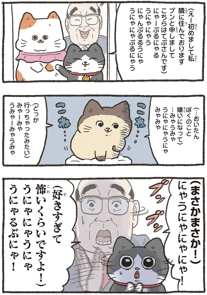 『ねこに転生したおじさん 6』 05-02.webp