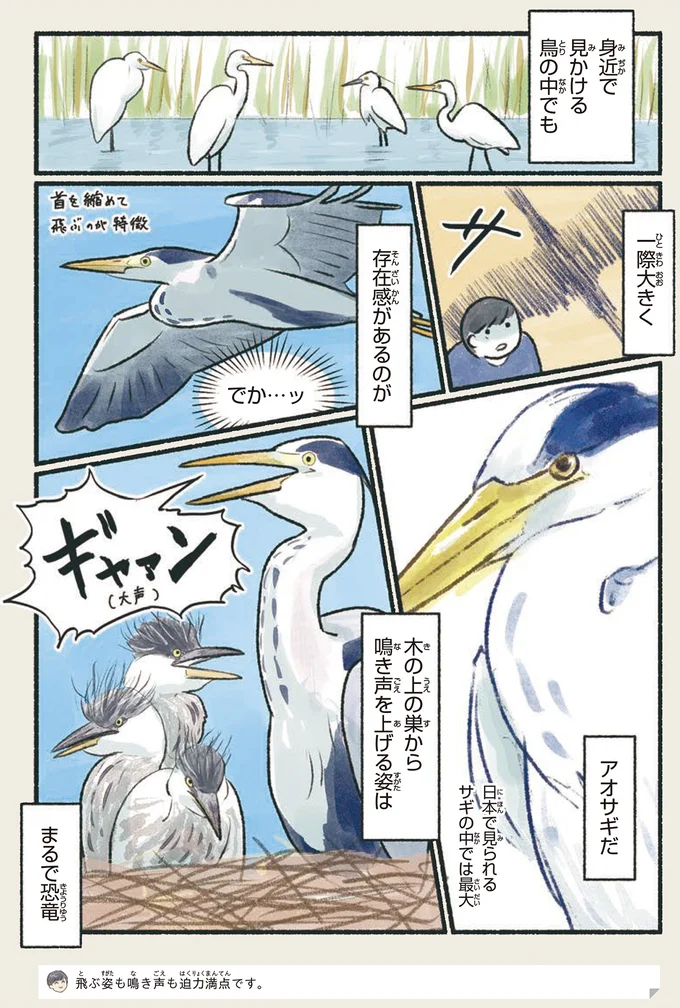 『意外と知らない鳥の生活 1〜2』 241.webp