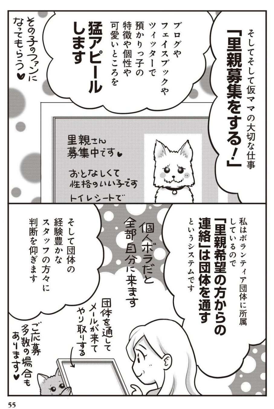 涙がでることもしばしば...保護犬の「仮ママ」ボランティアとは／イヌバカ！ イヌバカ4-6.jpg