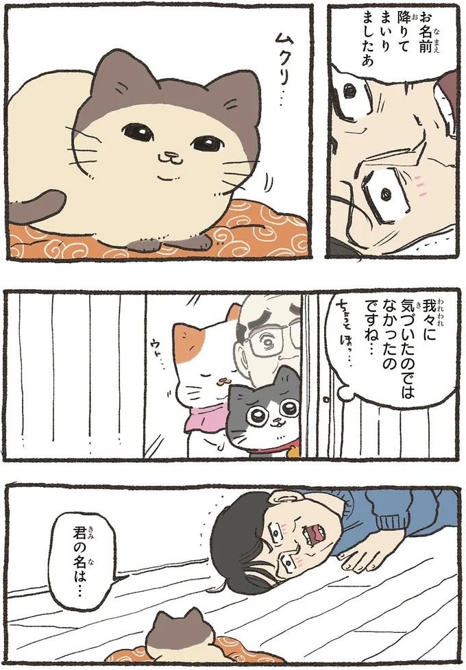『ねこに転生したおじさん 6』 04-03.webp