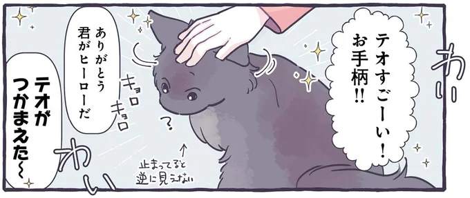 おてがら猫！ 家族が退治できなかった蚊を...そんなことできるの!?／るしこの子育て日記4