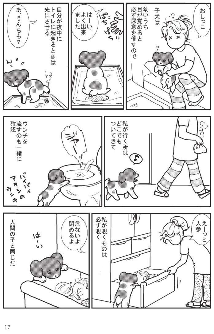 母犬が育児放棄...未熟児犬を育てることにしたが、どこにでもついてきて／愛犬アミ、世界で一番愛した君へ 愛犬アミ③-3.jpg