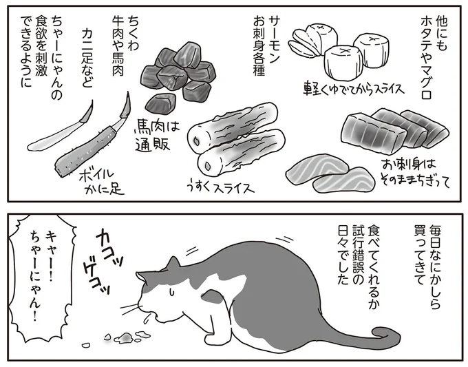 『世界一幸せな飼い主にしてくれた猫』 15-08.png