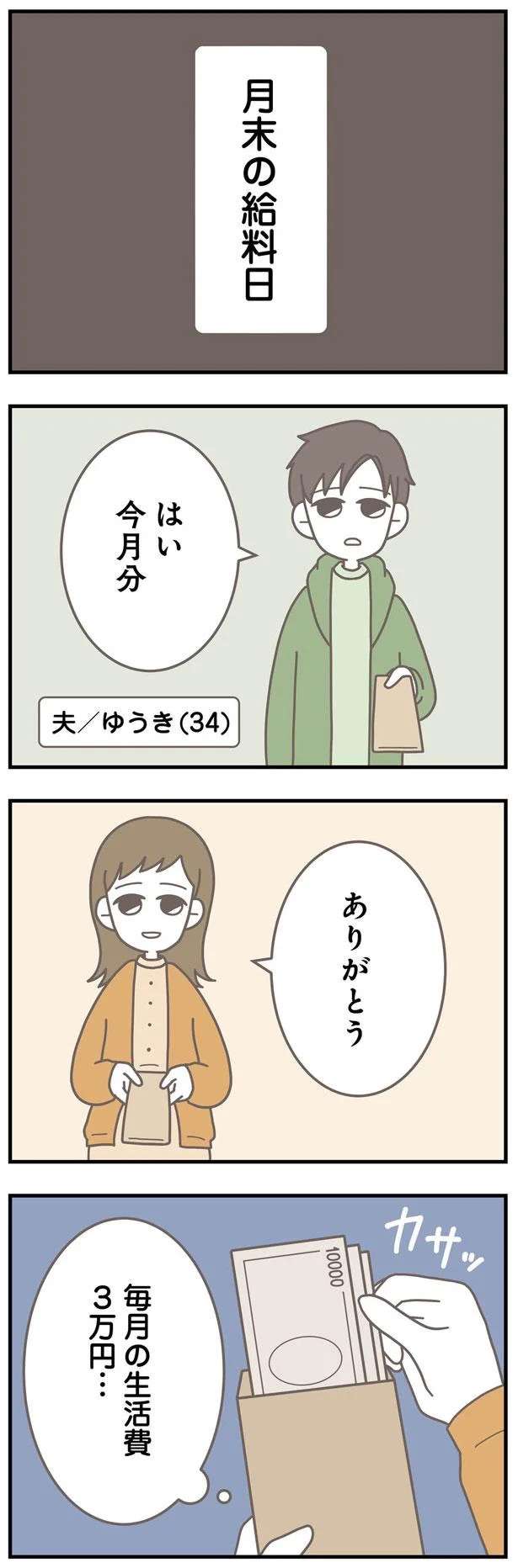 「お前が無能なだけじゃない？」月3万円の生活費が厳しいと夫に相談したら...えっ／信じた夫は嘘だらけ sinjita2_1.jpeg