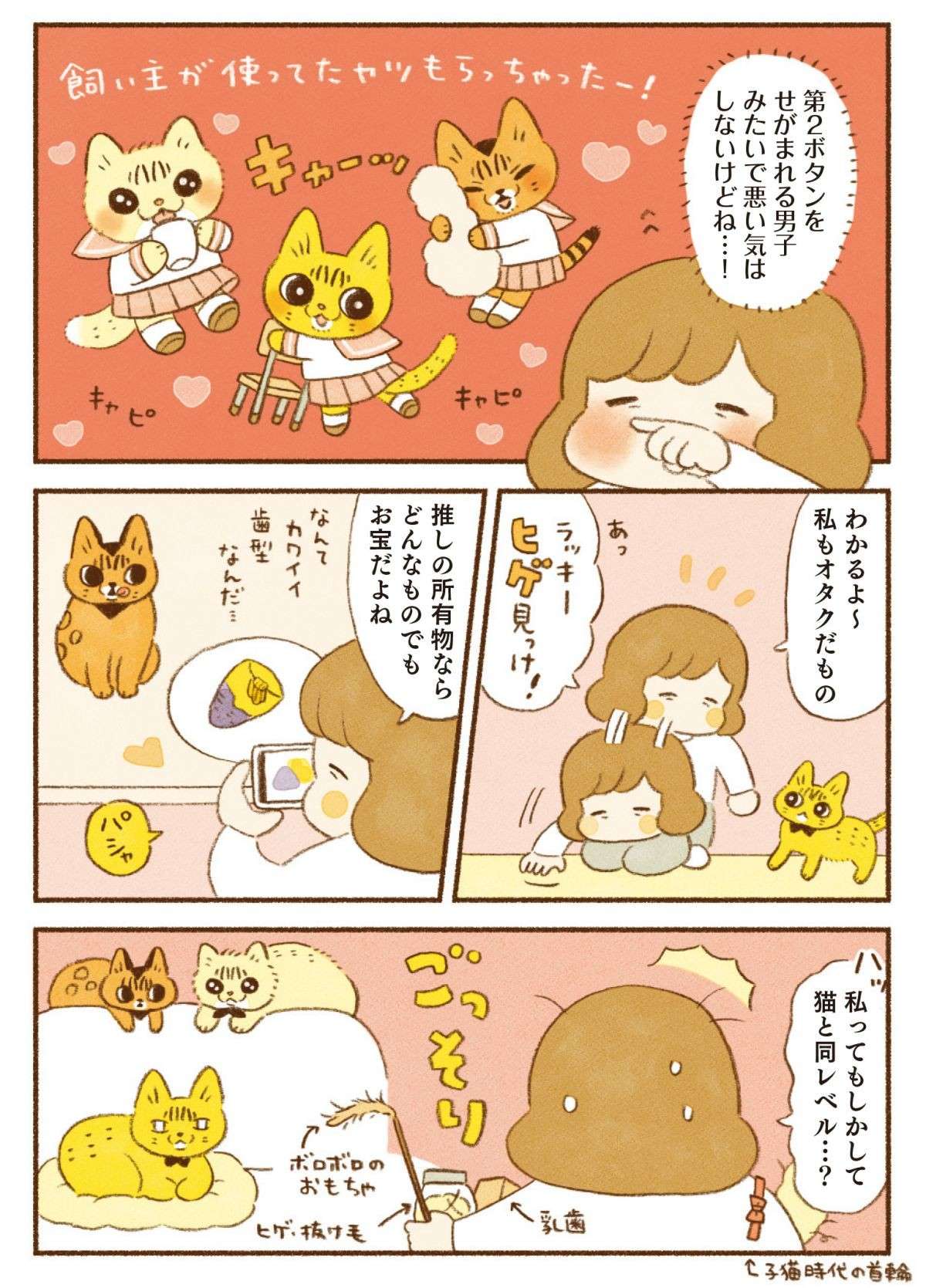 「推しの所有物はどんなものでもお宝」猫たちがほしがるのは...／しまねこ3姉妹と暮らしています 13.jpg