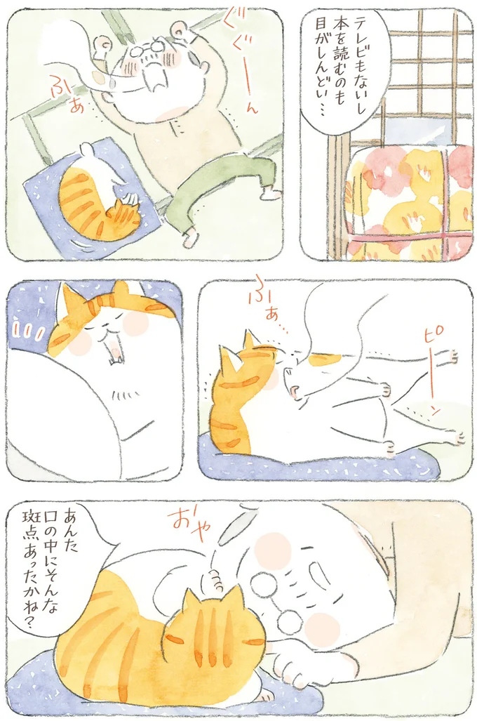 猫も犬も長生きしてほしい...ダイエットが辛いのはペットも飼い主も同じ!?／ねことじいちゃん12 16341766.webp