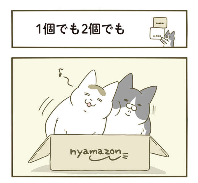 段ボール箱の取り合いでケンカする猫2匹。もうひと箱置いてみたら／うちの猫がまた変なことしてる。5 1.jpg