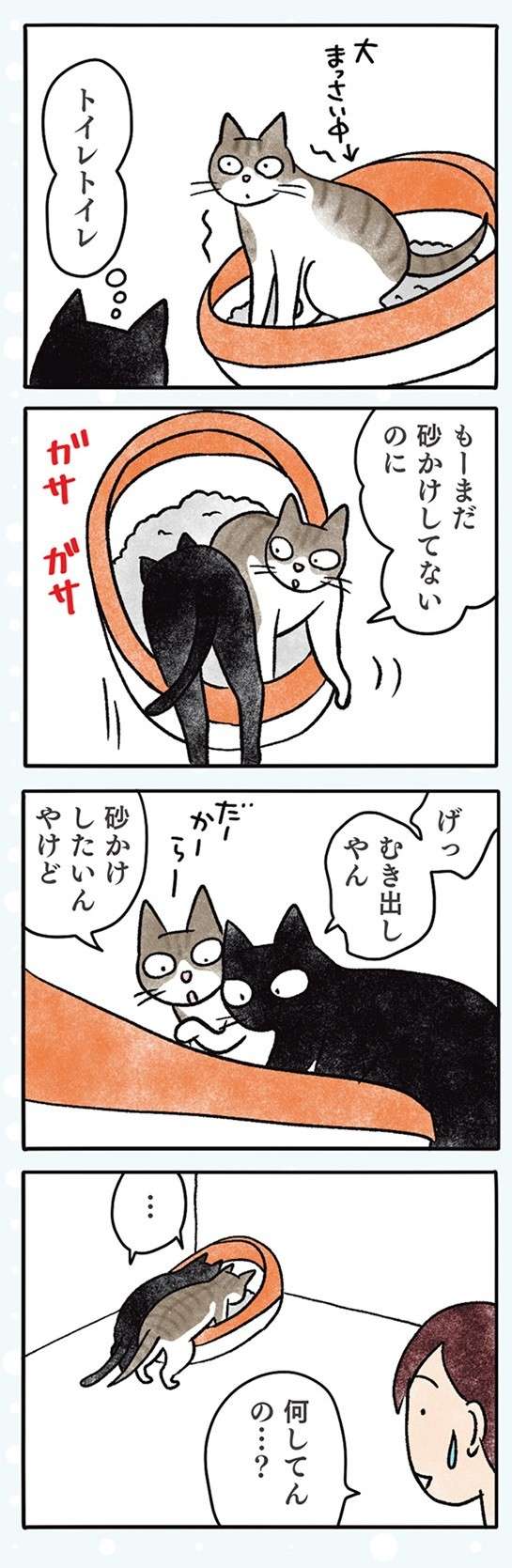 うちの猫2匹の微妙な「距離感」。仲がいいのか悪いのか／黒猫ナノとキジシロ猫きなこ kuroneko_nano13-4.jpg