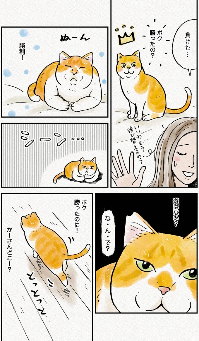 『元野良猫チャチャ 本日も見まわり中』 07-03.png