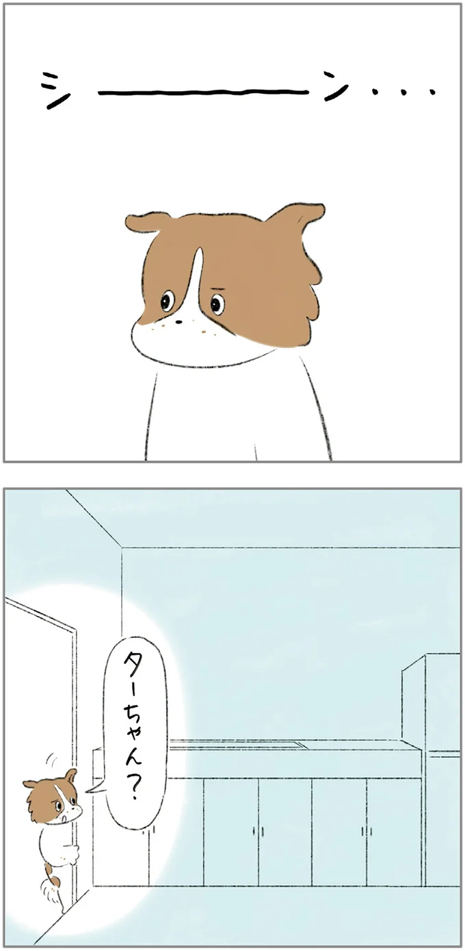 『ターとアグのしあわせ日和 元ノラ猫と元保護犬、ふたりは親友』 05-07.png