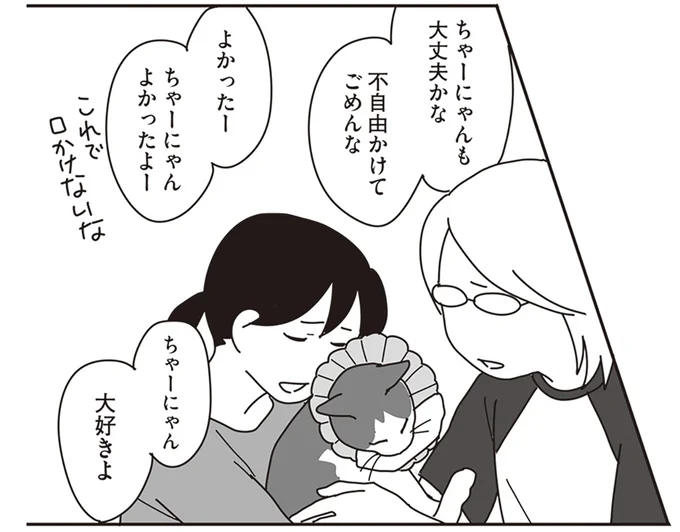 ガンに罹患した愛猫の看病。少しでも快適になるよう飼い主は懸命に.../世界一幸せな飼い主にしてくれた猫