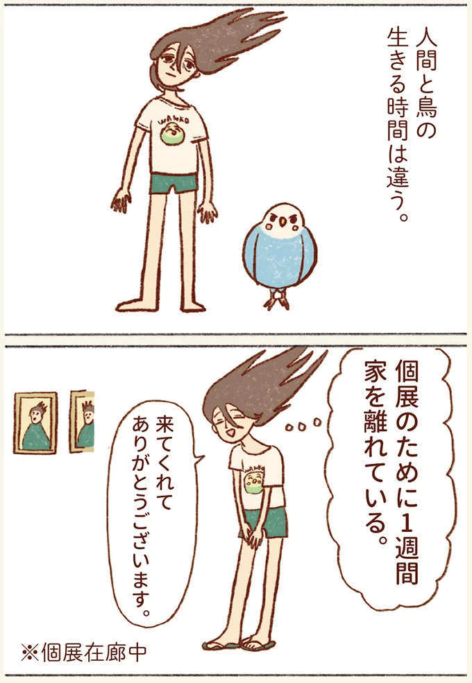 『プジェ日記！ 幸せを運ぶインコのみっちゃん』 41.webp