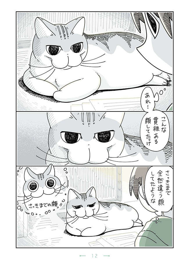 「あれ...」うちの猫、こんな貫禄ある顔してたっけ？ 表情豊かなだけでもなくて／夜は猫といっしょ3 yoruhanekoto3_12.jpg