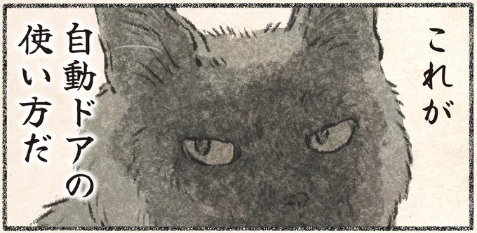「とても便利だ」ネコ様による「自動ドア」の使い方。ポイントは...？／今日もネコ様の圧が強い2