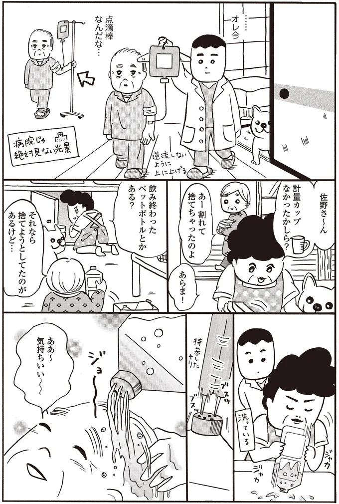 牛を右に曲がる...って!? 研修医が見学した離島の驚くことばかりの訪問看護／離島で研修医やってきました 14016209.webp