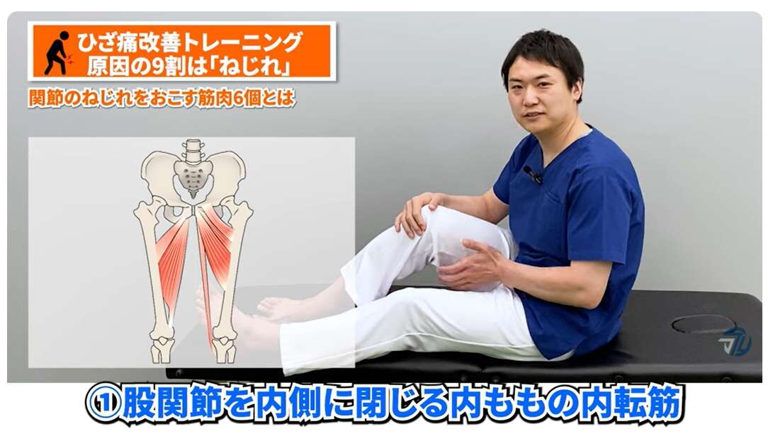 「膝の痛み」を抱える50代女性は42.1%。慢性的な膝の痛み解消のための簡単トレーニング【理学療法士が解説】 内転筋_1.jpg