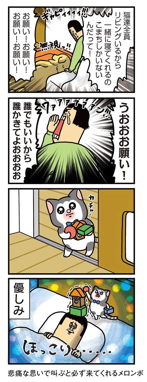 ああ、優しい。犬猫をもふりたい飼い主の欲求に...／まめきちまめこニートの日常 3 mameko23_3.jpeg