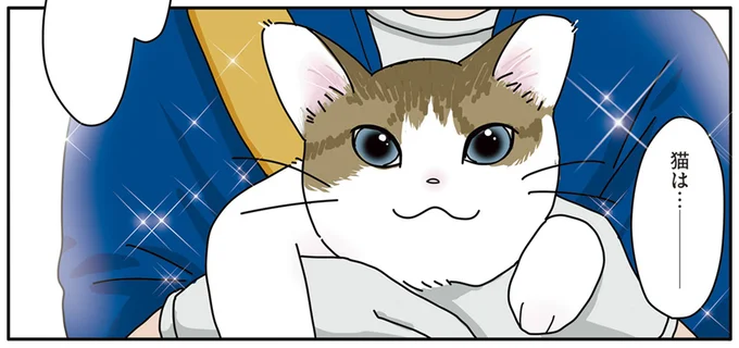 新聞配達員から届けられた小さな命。「今日からウチの猫だぞ」/世界一幸せな飼い主にしてくれた猫