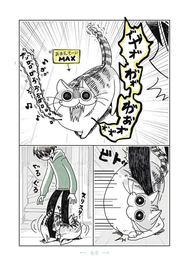 深夜に「甘えモードMAX」な愛猫。でも飼い主が遊ぼうとすると...えっ？？？／夜は猫といっしょ1 yoruhanekoto_p65.jpg