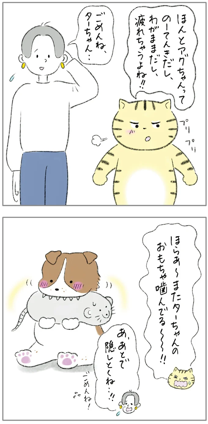 『ターとアグのしあわせ日和 元ノラ猫と元保護犬、ふたりは親友』 08-08.png