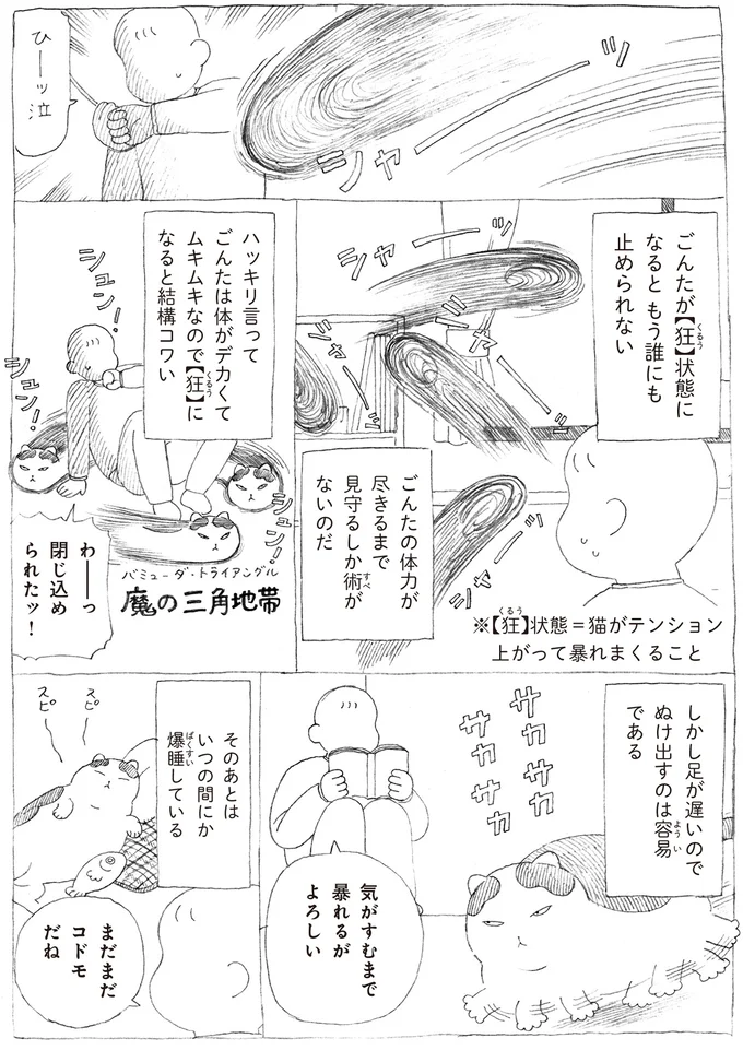 元野良の愛猫。飼い主が猫じゃらしを見せると険しい表情に...⁉／野良猫ごんた、家猫になる 16108725.webp