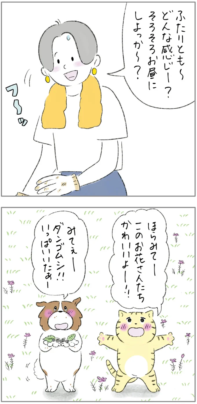 『ターとアグのしあわせ日和 元ノラ猫と元保護犬、ふたりは親友』 04-05.png